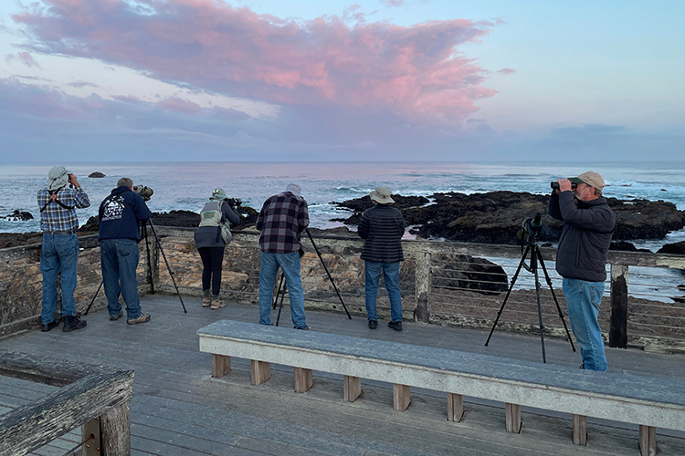 Alumni Retreat Provides Weekend of Birding, Fellowship, and Worship at Albion Field Station