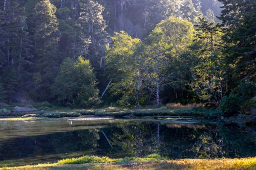 Estuarine Area