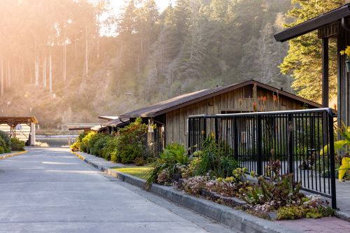 Albion Cabins at Sunset