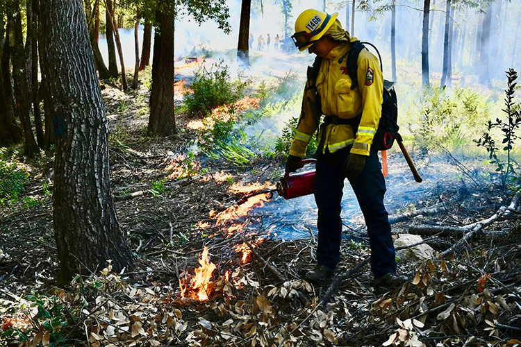 PUC Continues Building Fire Resilience Across Forest Property Through Successful 13 Acre Planned Burn