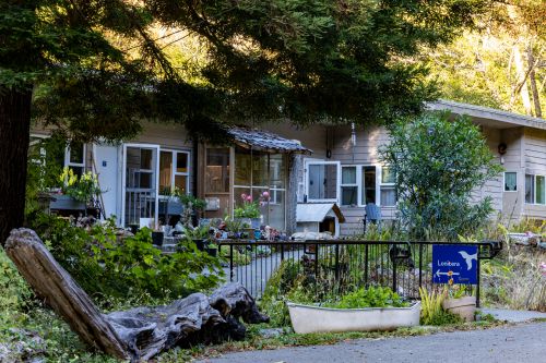 Lonicera - Albion Host Cabin